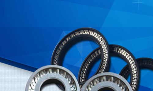 高溫高壓高抗硫橡膠密封件國產(chǎn)化